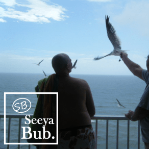 dad-and-seagulls-with-seeya-bub-logo